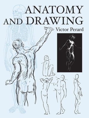 cover image of Anatomy and Drawing